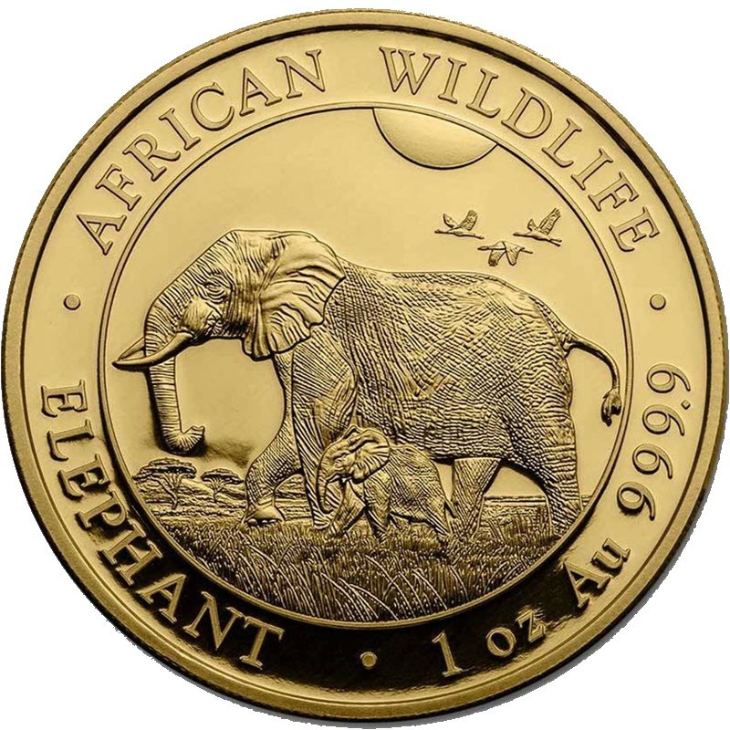 Золотая монета Сомали - Слон 2022 г.в., 31.1 г чистого золота (проба 0,999)