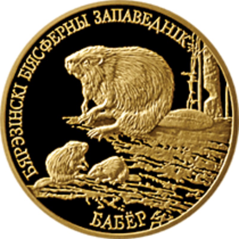Золотая монета Беларуси "Березенский биосферный заповедник. Бобр" 7,2 г чистого золота (проба 0,900)