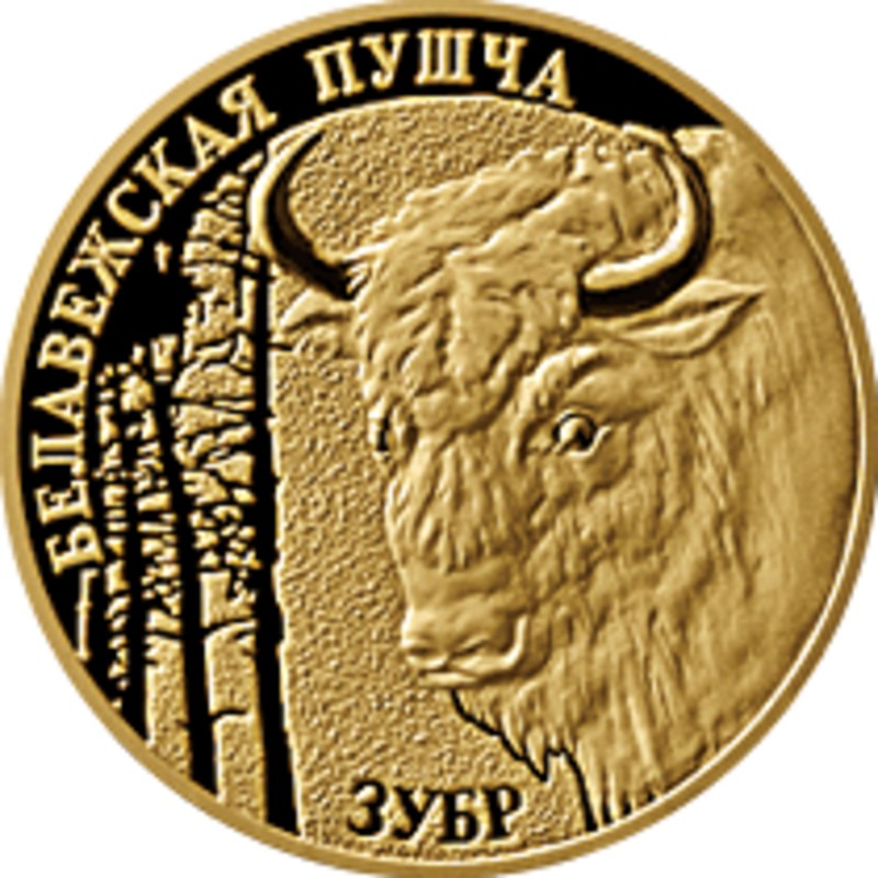 Золотая монета Беларуси "Беловежская пуща. Зубр" 7,2 г чистого золота (проба 0,900)